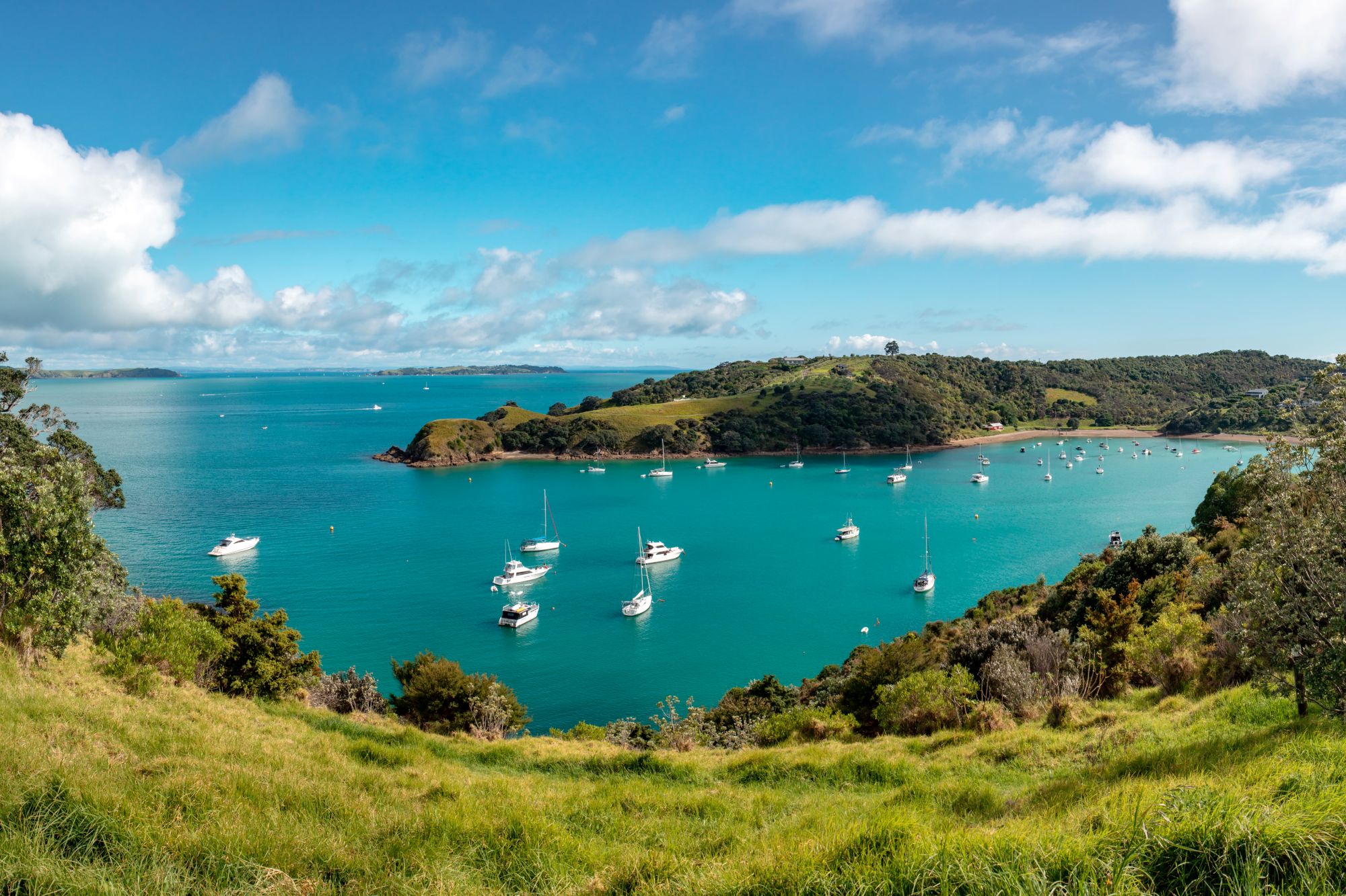 Photo of Waiheke Island on North Island, New Zealand